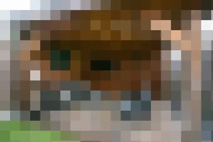 Valkenkamp 702 Maarssen thumbnail 34