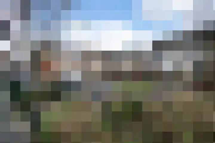 Valkenkamp 702 Maarssen thumbnail 38