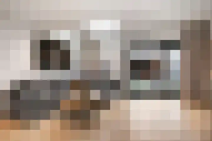 Valkenkamp 702 Maarssen thumbnail 5
