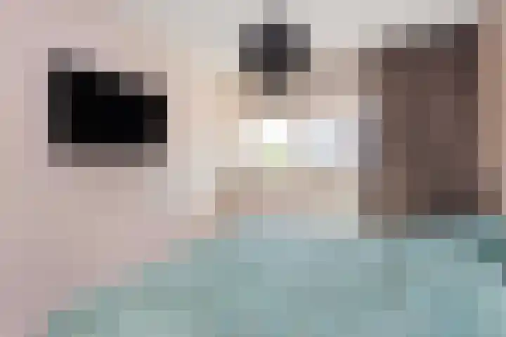 Valkenkamp 721 Maarssen thumbnail 22