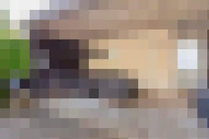 Valkenkamp 721 Maarssen thumbnail 40