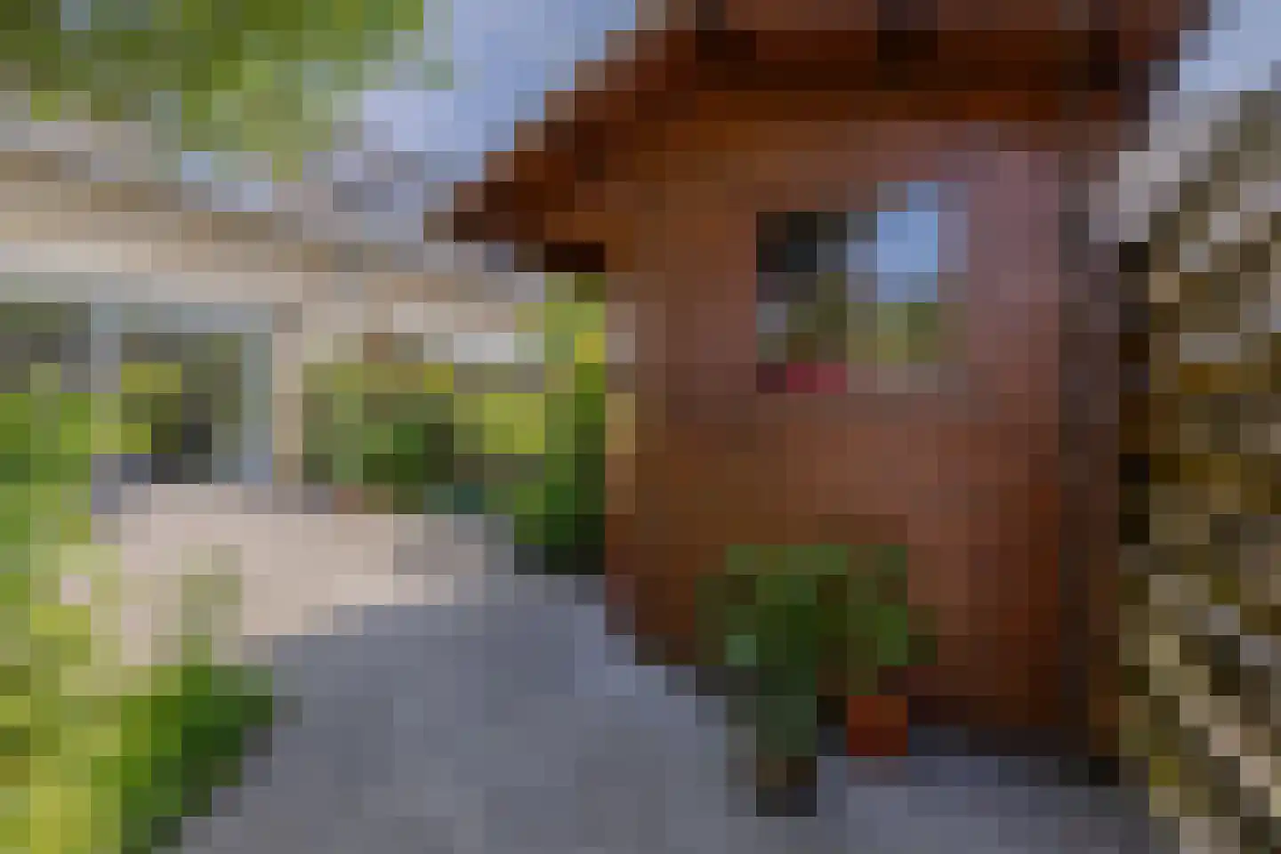 Valkenkamp 767 Maarssen thumbnail 17