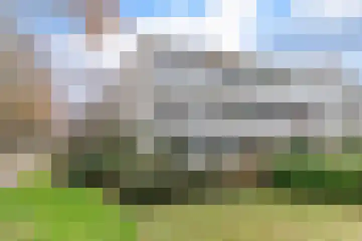 Valkenkamp 79 Driebergen-Rijsenburg thumbnail 20