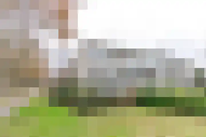 Valkenkamp 79 Driebergen-Rijsenburg thumbnail 24