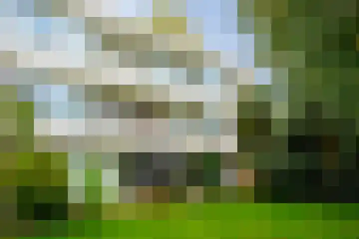 Valkenkamp 81 Driebergen-Rijsenburg thumbnail 19