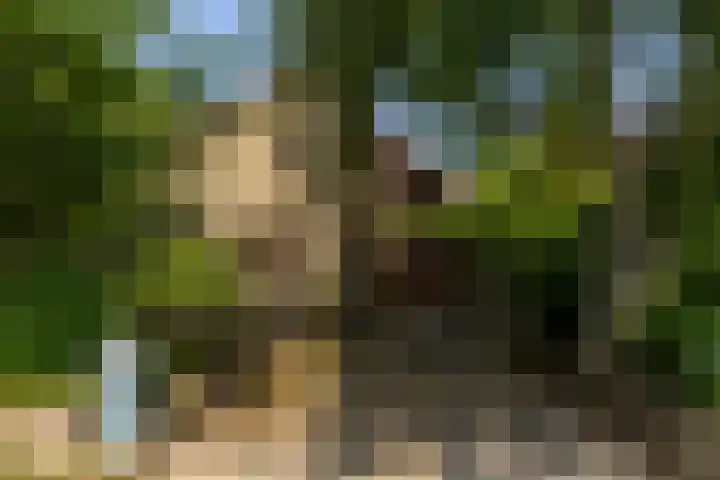 Valkenlaan 10 Oostvoorne