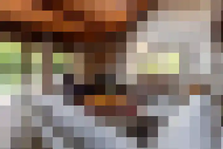 Valkenlaan 10 Oostvoorne thumbnail 10