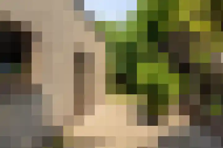 Valkenlaan 10 Oostvoorne thumbnail 31