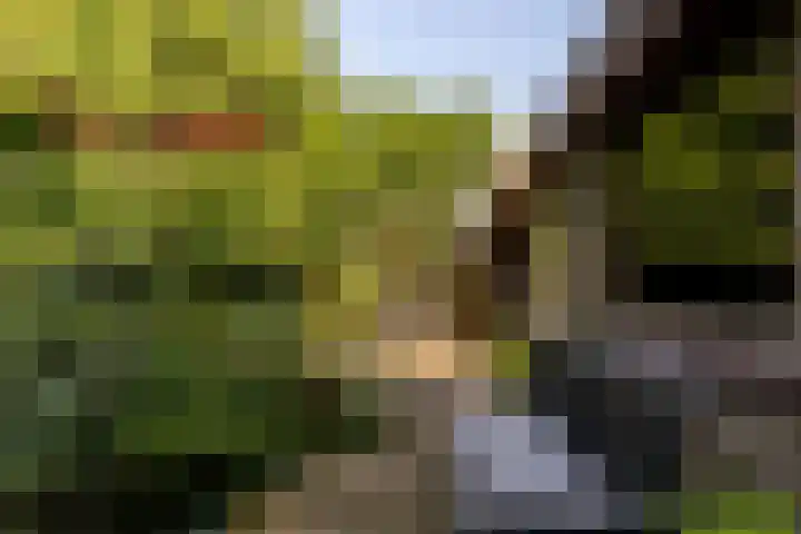 Valkenlaan 10 Oostvoorne thumbnail 33