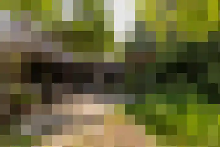 Valkenlaan 10 Oostvoorne thumbnail 35