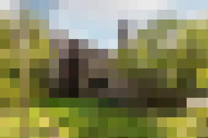 Valkenlaan 10 Oostvoorne thumbnail 36