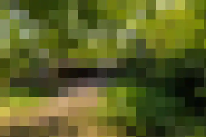 Valkenlaan 10 Oostvoorne thumbnail 37