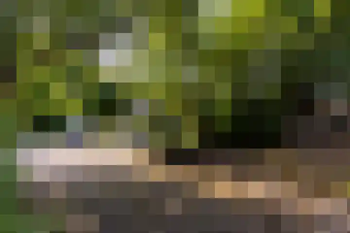 Valkenlaan 10 Oostvoorne thumbnail 38