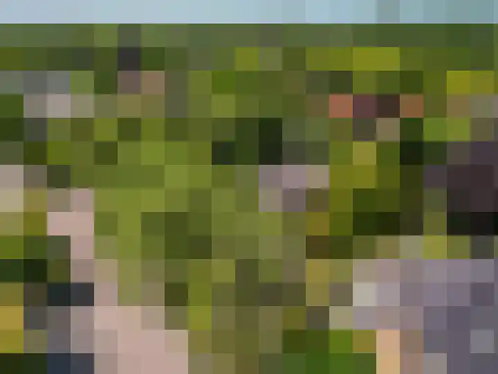 Valkenlaan 10 Oostvoorne thumbnail 39