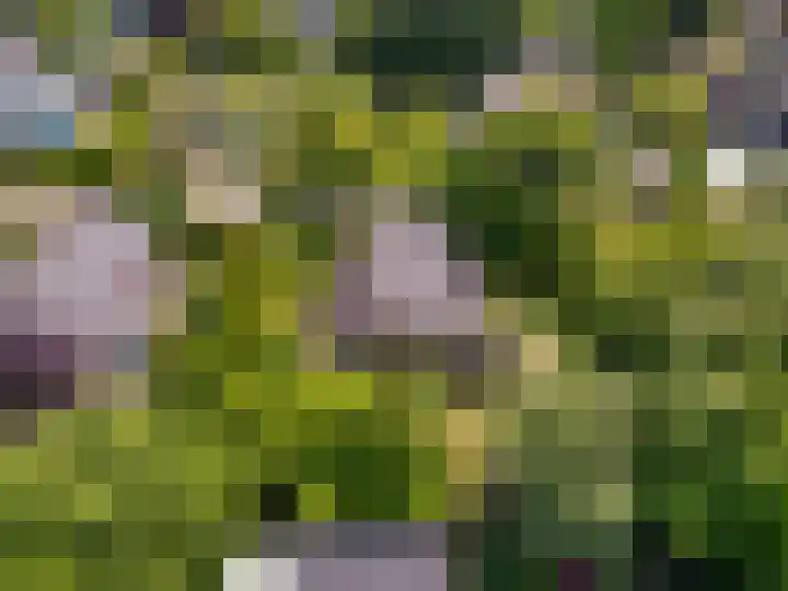 Valkenlaan 10 Oostvoorne thumbnail 40