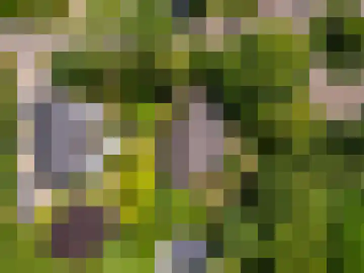 Valkenlaan 10 Oostvoorne thumbnail 41