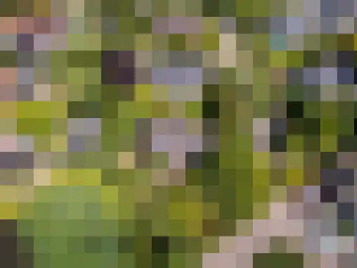 Valkenlaan 10 Oostvoorne thumbnail 42