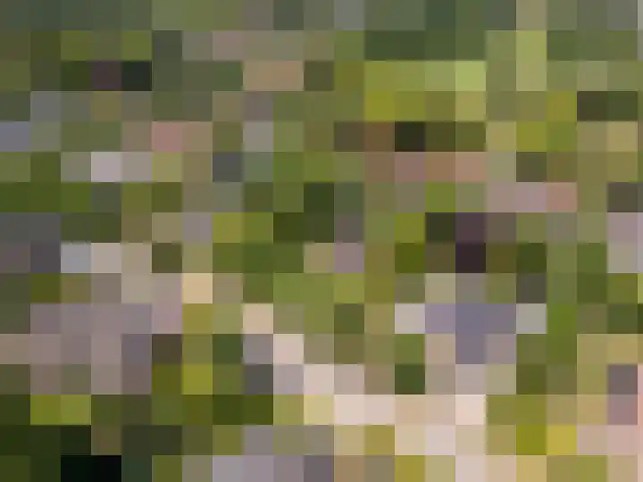 Valkenlaan 10 Oostvoorne thumbnail 43