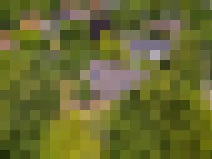 Valkenlaan 10 Oostvoorne thumbnail 44