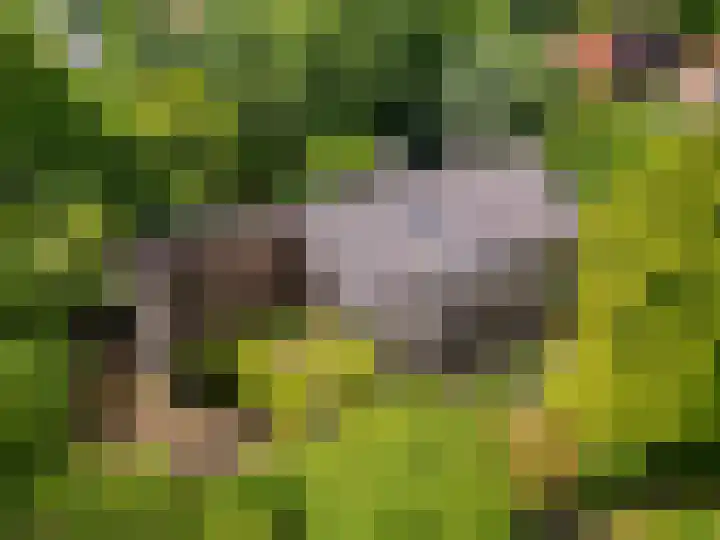 Valkenlaan 10 Oostvoorne thumbnail 45