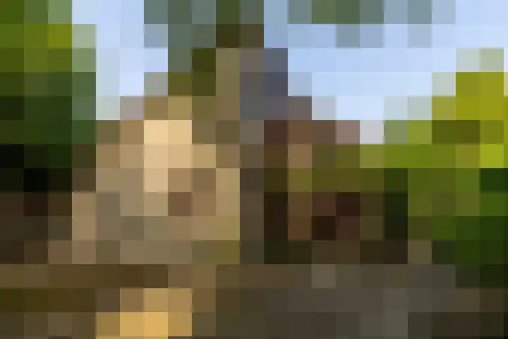 Valkenlaan 10 Oostvoorne thumbnail 5