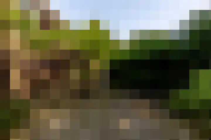 Valkenlaan 10 Oostvoorne thumbnail 6