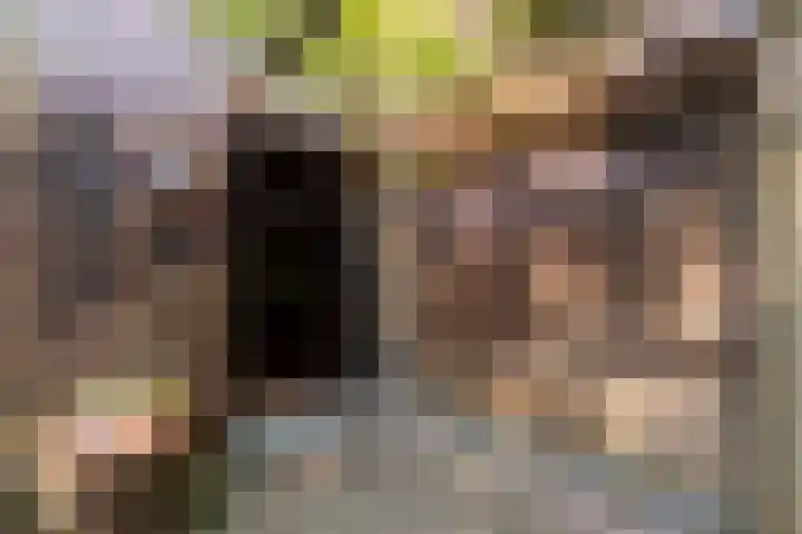 Valkenlaan 10 Oostvoorne thumbnail 7