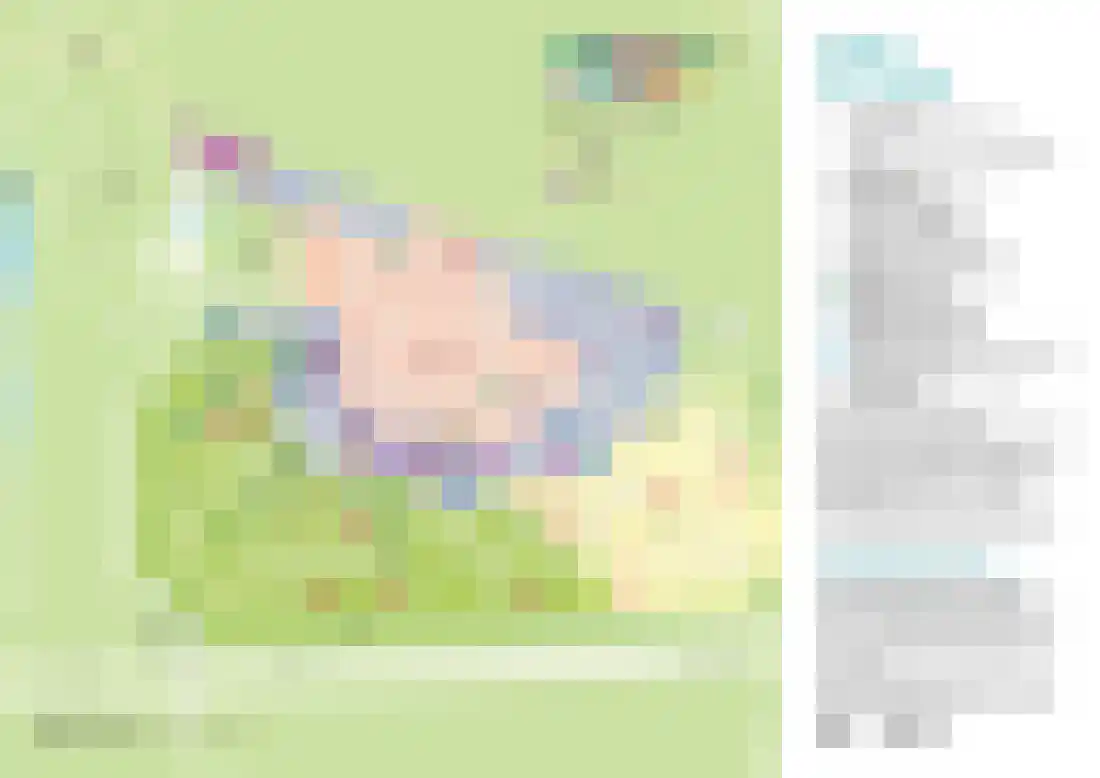 Valkenlaan 15 B115 Sibculo thumbnail 27