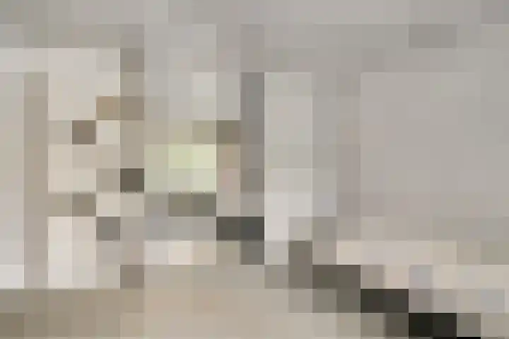 Valkenlaan 17 Maarheeze thumbnail 24