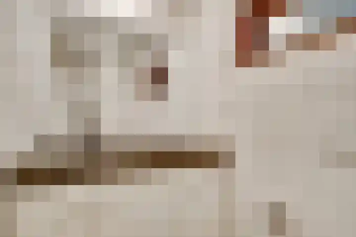 Valkenlaan 17 Maarheeze thumbnail 25