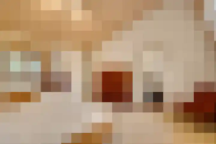 Valkenlaan 17 Maarheeze thumbnail 31