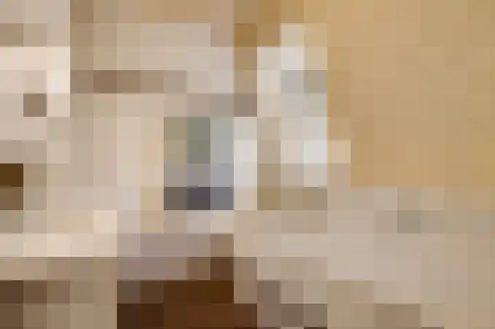 Valkenlaan 17 Maarheeze thumbnail 32