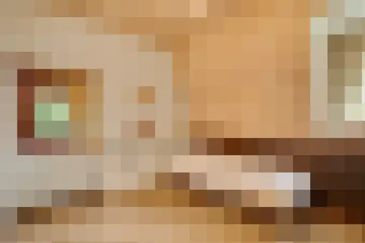 Valkenlaan 17 Maarheeze thumbnail 34