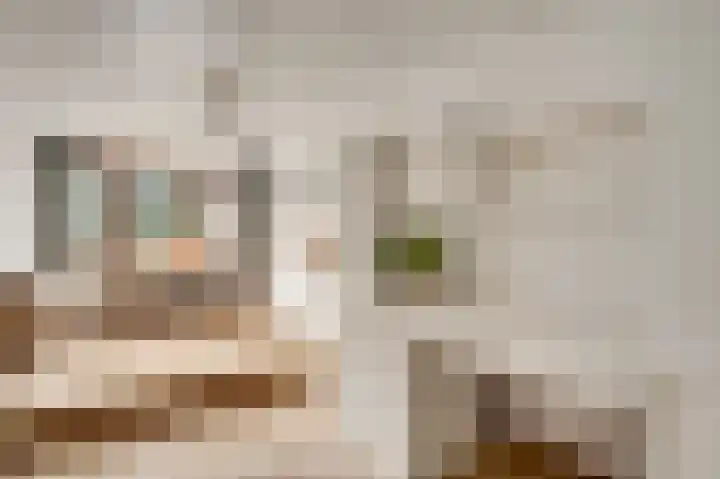 Valkenlaan 17 Maarheeze thumbnail 36
