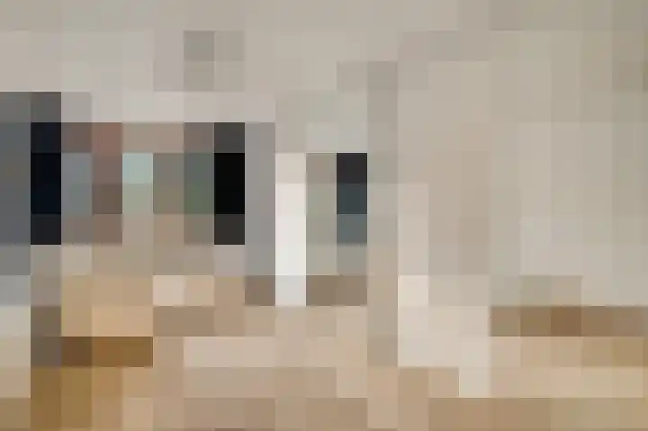 Valkenlaan 17 Maarheeze thumbnail 38