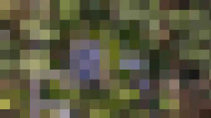 Valkenlaan 17 Maarheeze thumbnail 4