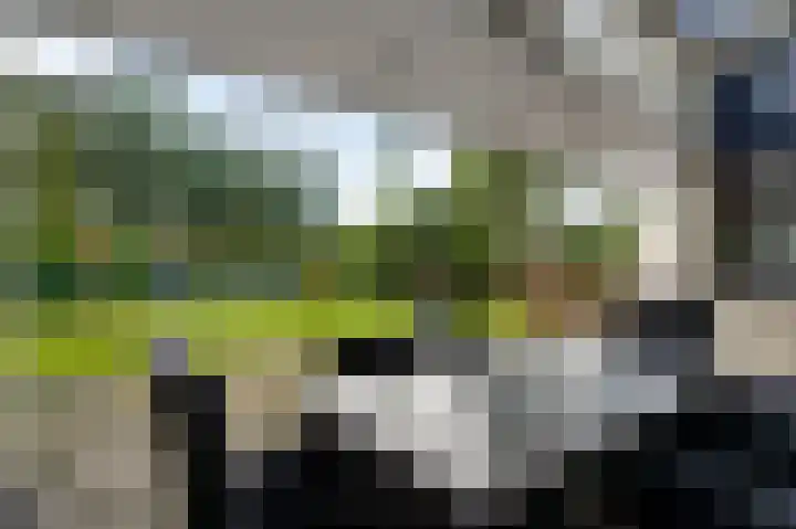 Valkenlaan 17 Maarheeze thumbnail 43