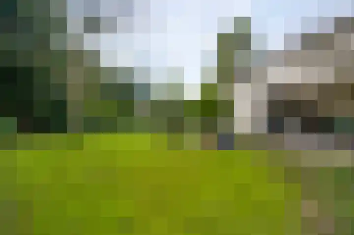 Valkenlaan 17 Maarheeze thumbnail 48