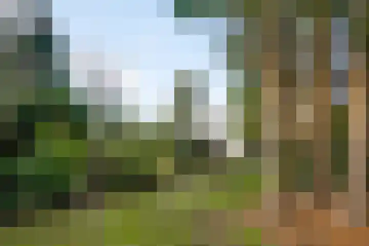 Valkenlaan 17 Maarheeze thumbnail 49