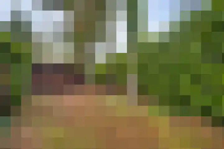 Valkenlaan 17 Maarheeze thumbnail 50