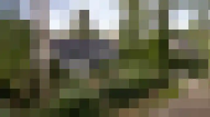 Valkenlaan 17 Maarheeze thumbnail 51