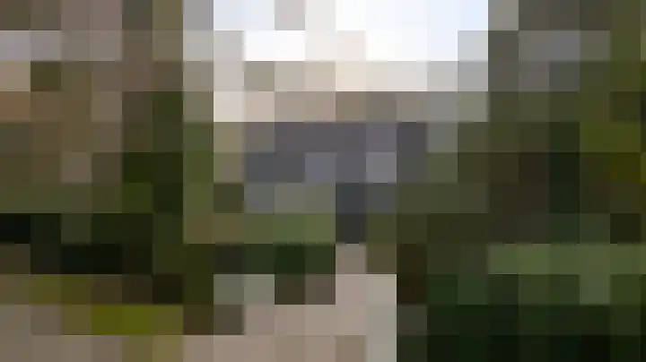 Valkenlaan 17 Maarheeze thumbnail 52