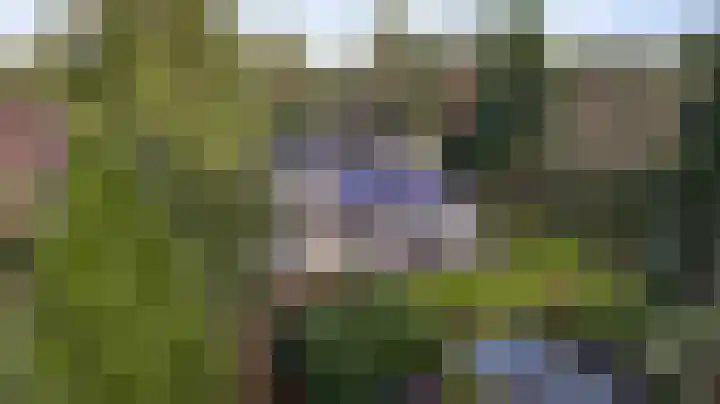 Valkenlaan 17 Maarheeze thumbnail 53