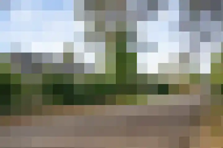 Valkenlaan 17 Maarheeze thumbnail 54