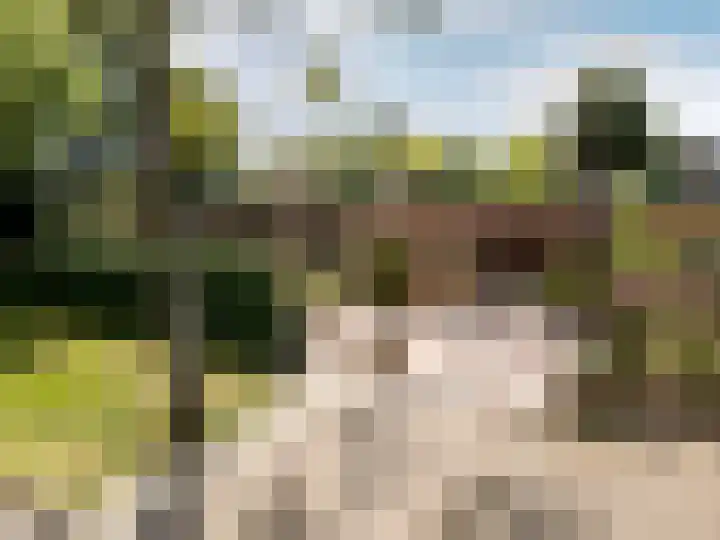 Valkenlaan 19 dans Oostvoorne