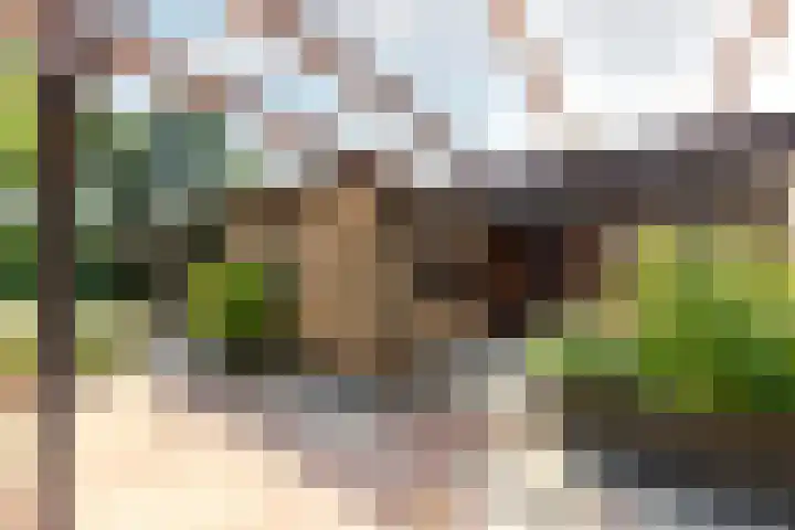 Valkenlaan 19 Oostvoorne thumbnail 12