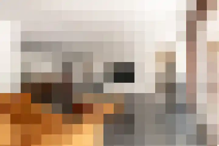 Valkenlaan 19 Oostvoorne thumbnail 17