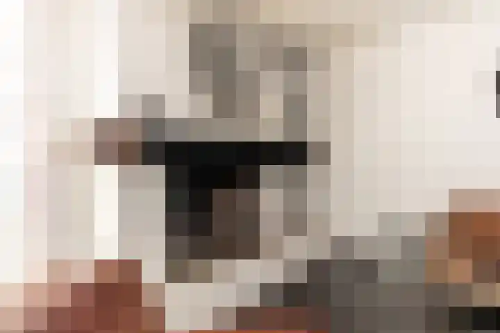 Valkenlaan 19 Oostvoorne thumbnail 21