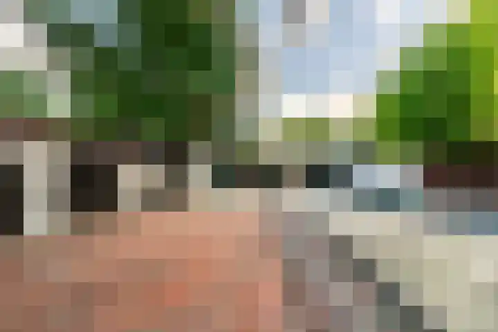 Valkenlaan 19 Oostvoorne thumbnail 4