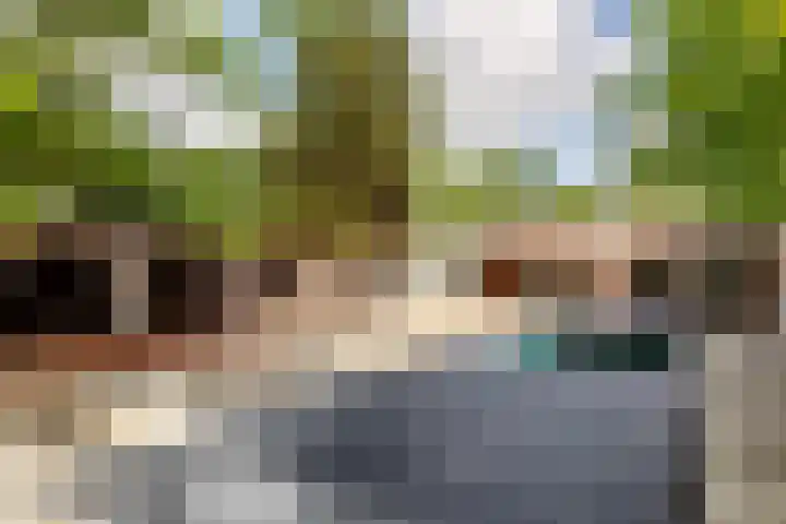Valkenlaan 19 Oostvoorne thumbnail 46